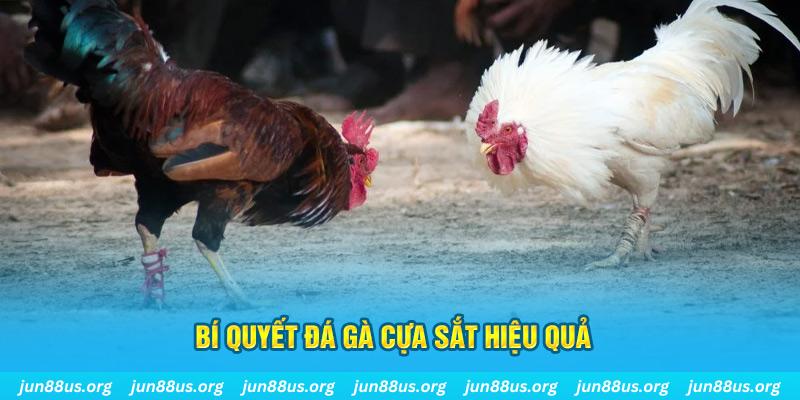 tylekeo88 xổ số miền bắc thứ ba hàng tuần