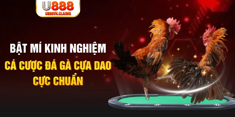 tylekeo88 casino hồ tràm có cho người việt vào không