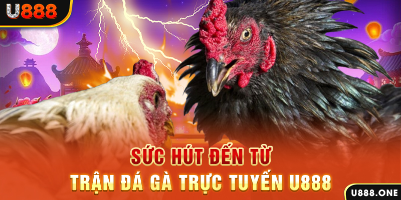 tylekeo88 đăng nhập poker 2024