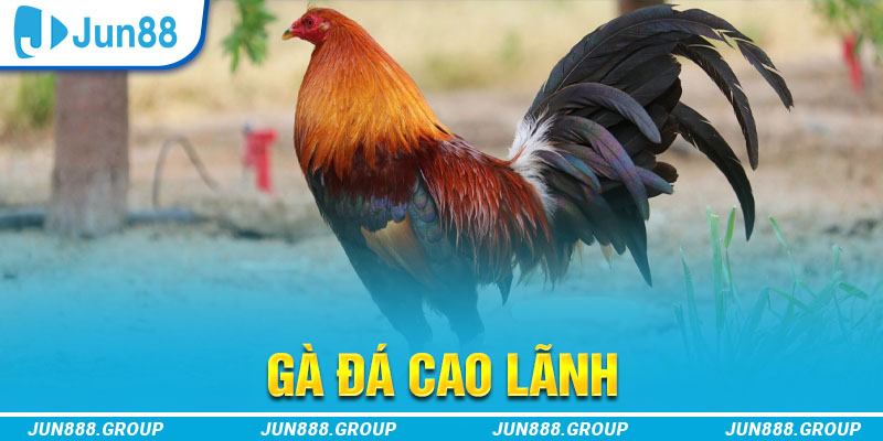 tylekeo88 tai game vua bai ve may tinh