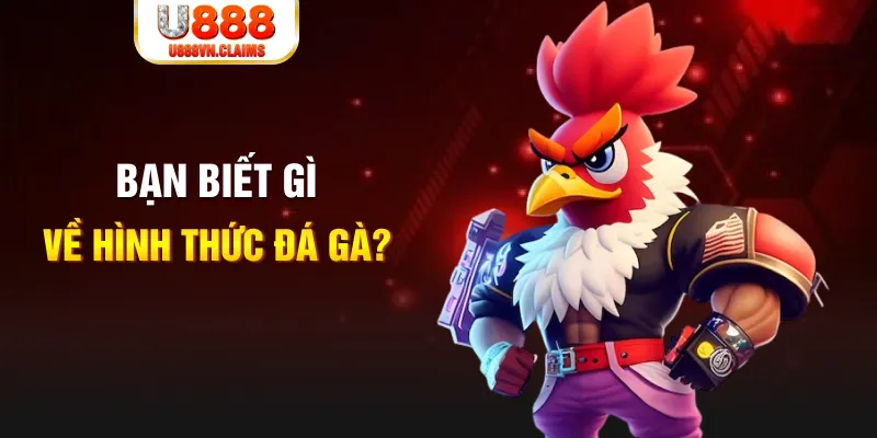 tylekeo88 đăng nhập liêng tặng tiền