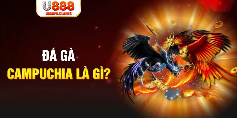 tylekeo88 what is the best online casino for real money