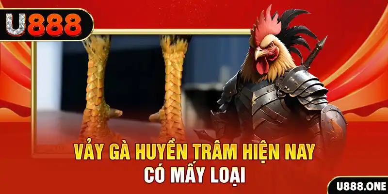tylekeo88 đăng nhập nổ hũ miễn phí