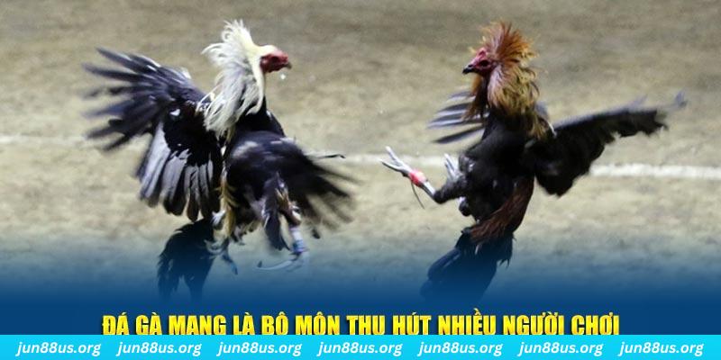 tylekeo88 đăng nhập sòng bạc số 1