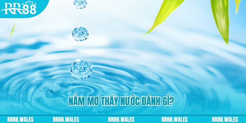 tylekeo88 xổ số trực tiếp miền bắc