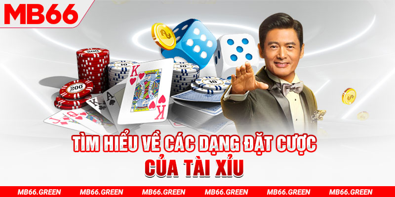 tylekeo88 what is a casino loyalty program