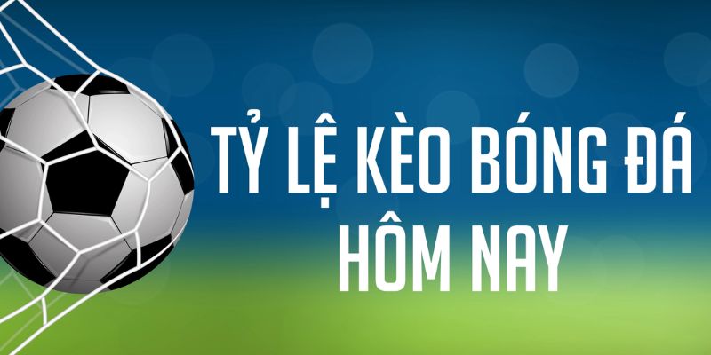 tylekeo88 đăng nhập phỏm