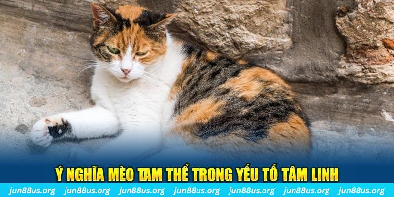 tylekeo88 máy slot game là loại trò chơi gì？