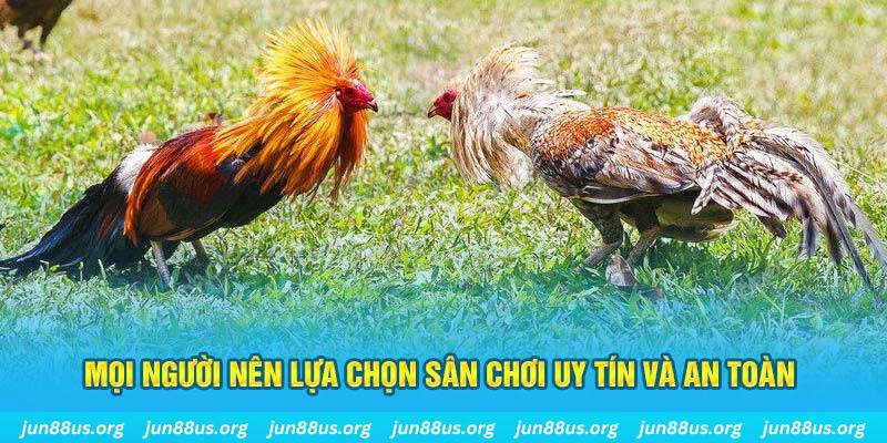 tylekeo88 đăng nhập poker 2025
