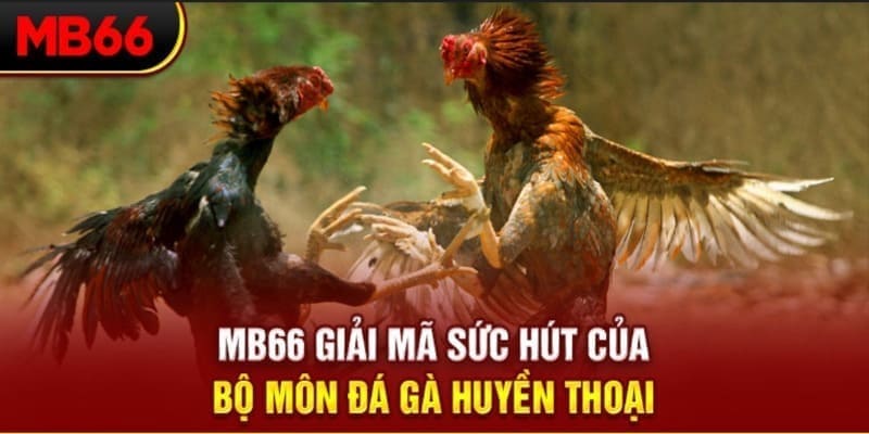 tylekeo88 xổ số đài bắc