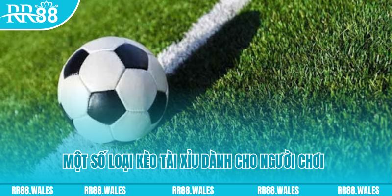tylekeo88 slot nghĩa là gì