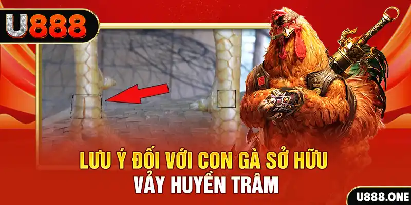 tylekeo88 tải game đánh bài tiến lên miền nam về máy tính