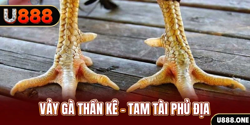 tylekeo88 so xo mien trung
