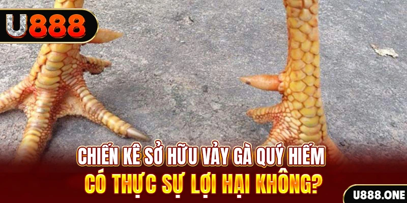 tylekeo88 xổ số miền trung