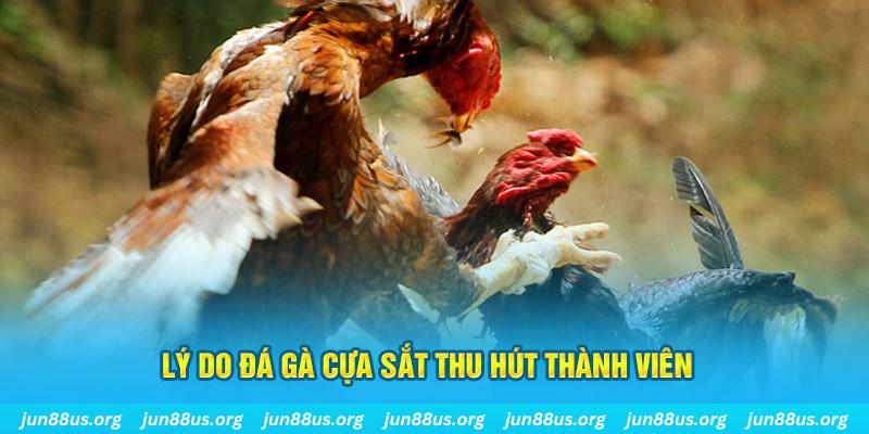 tylekeo88 nổ hũ ăn bao nhiêu
