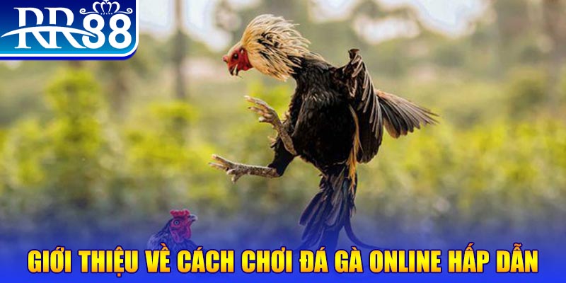 EvoPlay Điện Tử