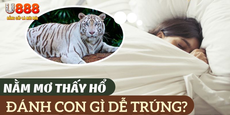 tylekeo88 nohu .mx nổ hủ là gì