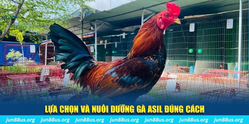 tylekeo88 nổ hũ thần tài là gì