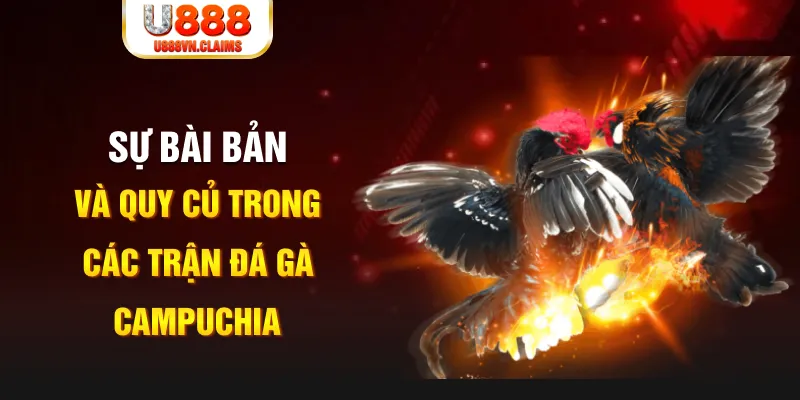tylekeo88 game xếp bài trên máy tính