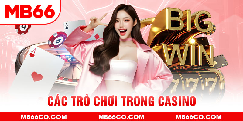 tylekeo88 chổi lông gà