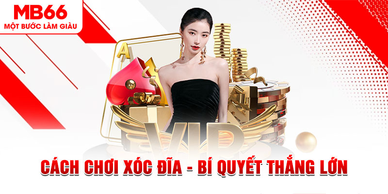tylekeo88 Đĩa màu ace