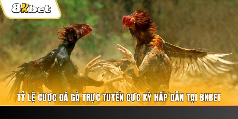 tylekeo88 xổ số miền bắc chủ nhật