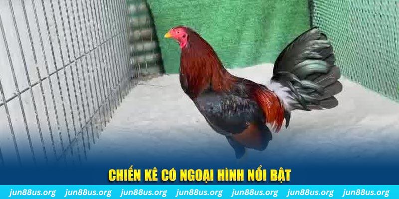 tylekeo88 qq88 bắn cá