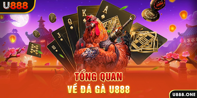 tylekeo88 xổ số vietlott