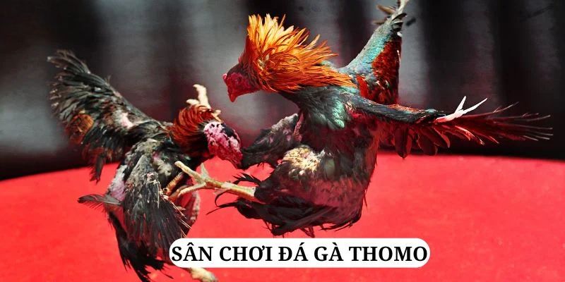 tylekeo88 quay nổ hũ là gì