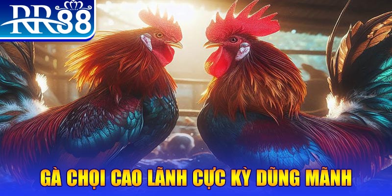 tylekeo88 đăng nhập poker live